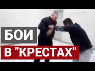 Тренирои дацика в крестах