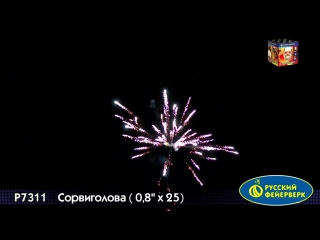 Салют "сорвиголова" 25 залпов