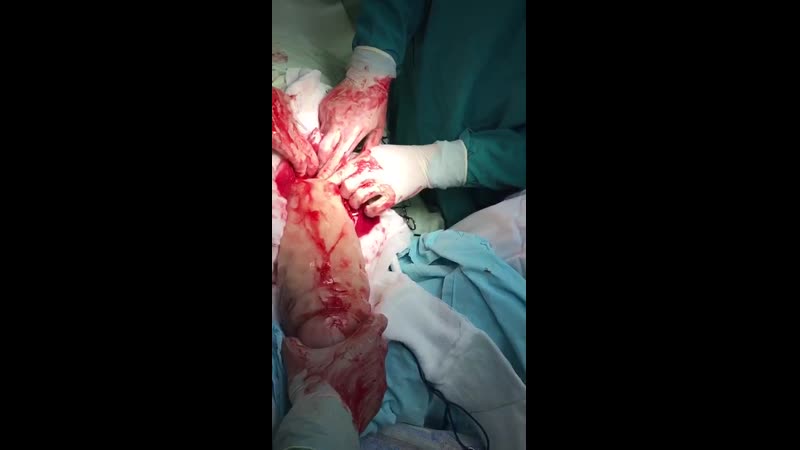 Закат солнца вручную