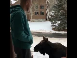 Юта