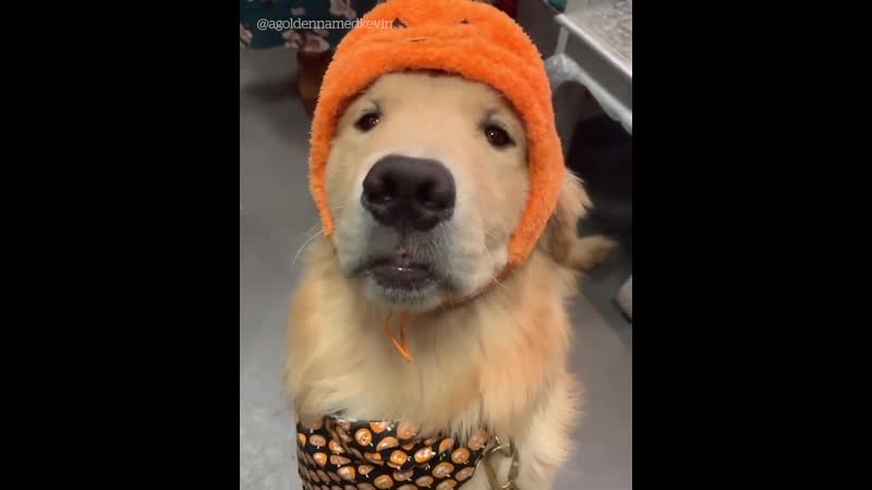 Молодые дрожит от холода (