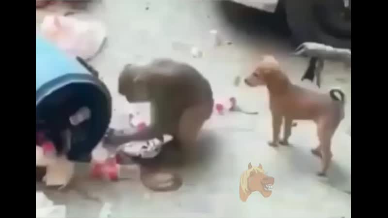 Ты куда лезешь!?