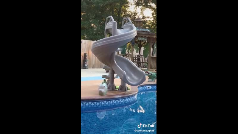 Когти подвели))