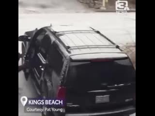 Excuse me sir, do you have time to talk about our lord and saver winnie the poop?