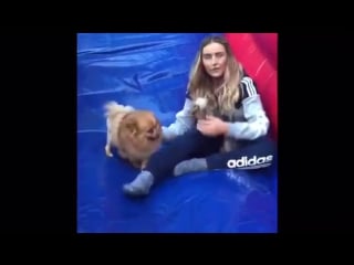 Can't get over how much fun i have with my little bestie! i love hatchi! perrie <3