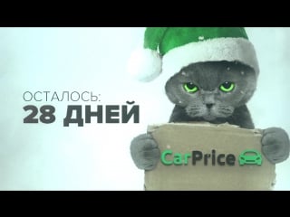 28dec carprice cat