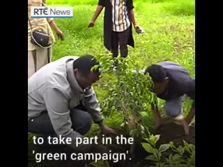 Посадили 350 миллионов деревьев за один день эфиопия (vhs video)