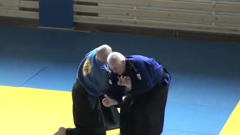 Реал айкидо любомир врачаревич и бранко бресчанский