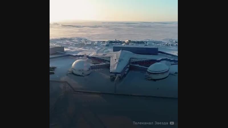 Арктический трилистник