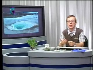 Биоэкология урок 6 температура возможна ли жизнь при 90 ºс и 270 ºс