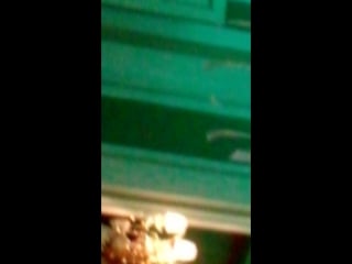 Nikita "фотограф" & "делай" ministerium (exclusive by s l )