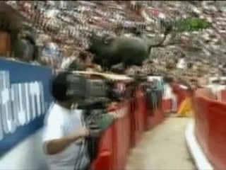 Bull jumps into spectators