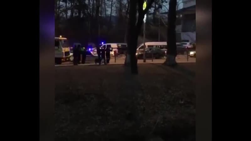 Подробные приключения пьяного александра емельяненко в кисловодске