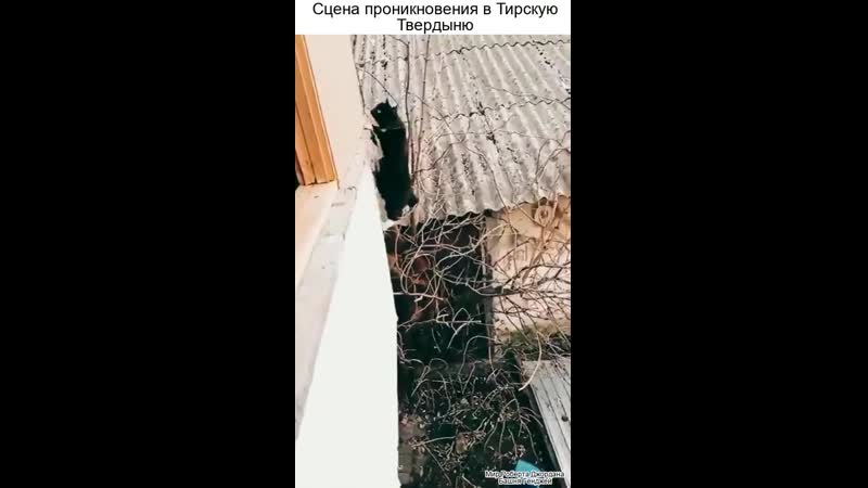 Колесо porn video – Сцена проникновения в тирскую твердыню «колесо времени»