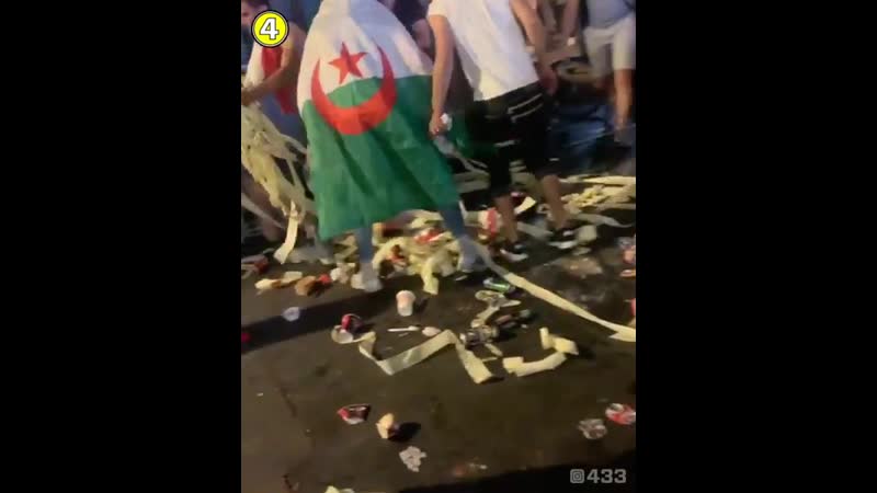 Фанаты сборной алжира