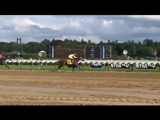 Monomoy girl just too good in the ccao