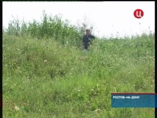 Садоводы ростова на дону отстояли ливенцовскую крепость