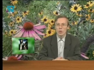 Экология передача 3 удивительный мир живого часть 1