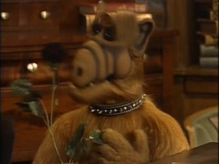 S04e18 futures so bright, i gotta wear shades