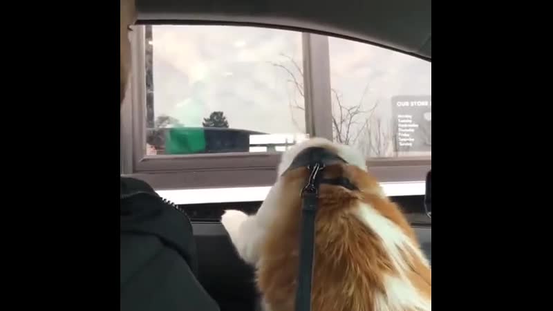 Милоты пост