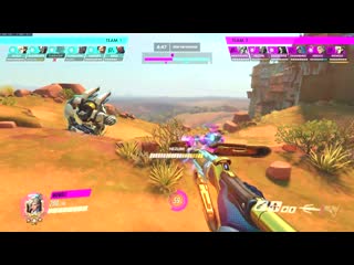 Played chaperone to a rein monkey dance got to see one of the best defensive charges i have ever seen!