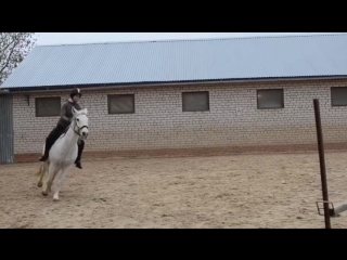 Конкурная тренироа с серой 14 10 18