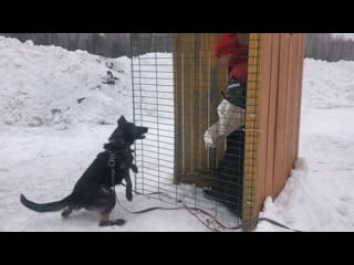 Dundee von kayman защитный тренинг 02/22