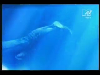 Underworld born slippy nuxx