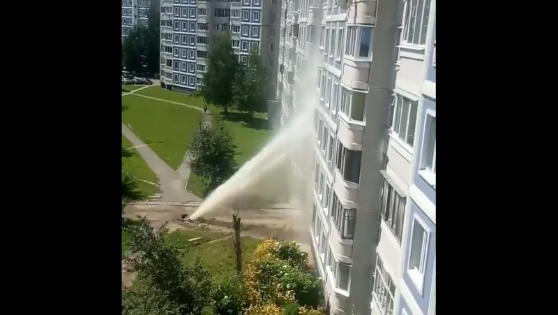 Малиноа потекла