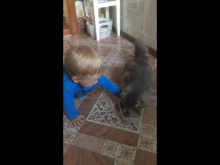 Пушок и ромка