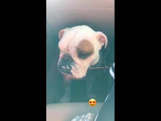 Bill kaulitz instagram stories (01 03 2018) фотосессия в мерче magdeburg los