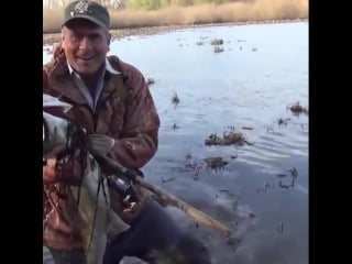 Судак (vhs video)