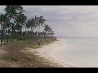 Остров 1000 удовольствий (1978)