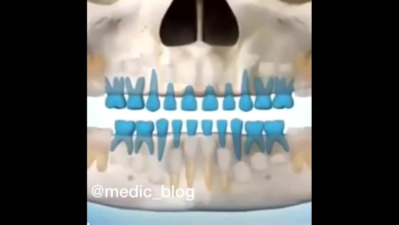 На видео показано как происходит формирование зубов у младенцев