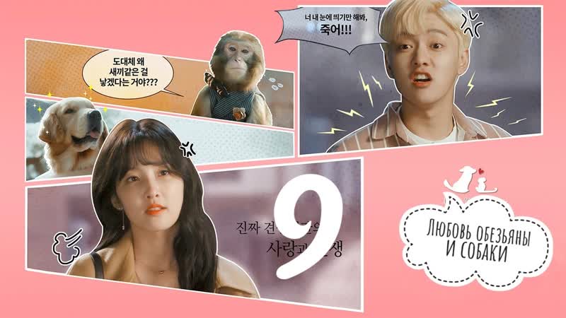 [mania] 09/10 [720] любовь обезьяны и собаки / monkey and dog romanc