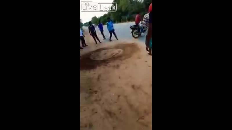 Дарвин одобряет!