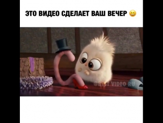 Это видео сделает ваш вечер из инстаграма ксении бородиной