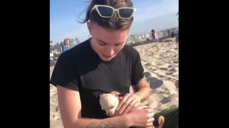 Gunn porn video – Lynn gunn and little chihuahua