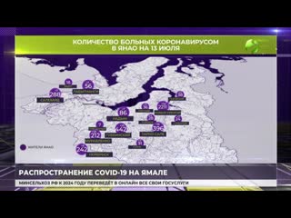 Карта распространения коронавируса по янао на 13 июля 2020