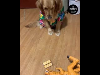 Выплюнь бяку! смешное видео