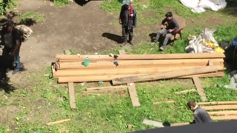 Новосибирские бузотеры