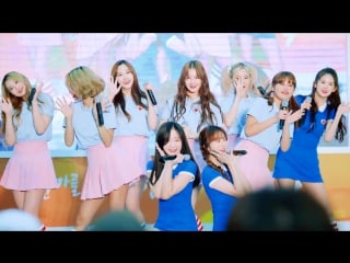 170721 [4k fancam] momoland jjan! koong! kwang!