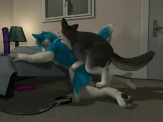 H0rs3 blue husky and dog