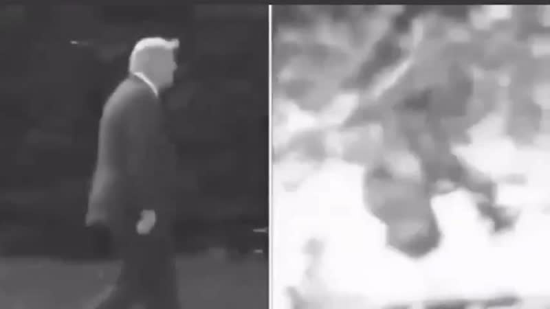 Секрет бигфута раскрыт