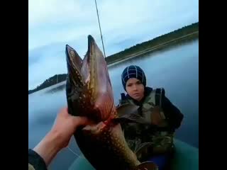 Video rybalka bxucgpgjsso ~