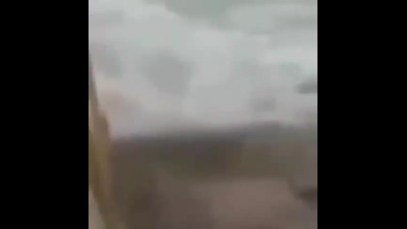 Морж матершинник🤣