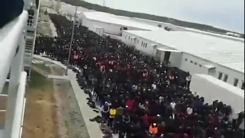 Жесть на стройке с мигрантами амурская область город свободный стройка турецкой компании ренессанс холдинг