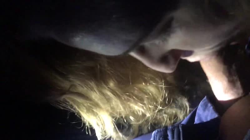 Катя г минск