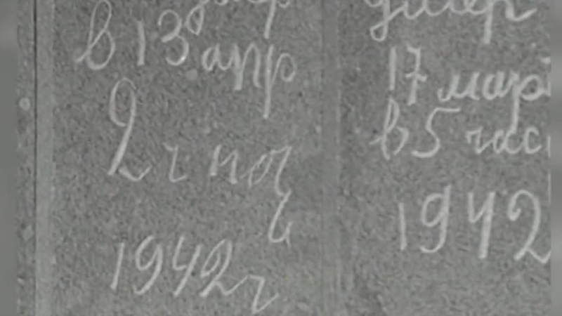 Город, который выжил архивные кадры к 70 летию снятия блокады ленинграда