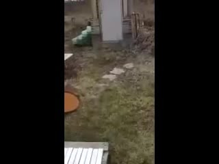 Webm <в таком туалете я бы срал каждый день>